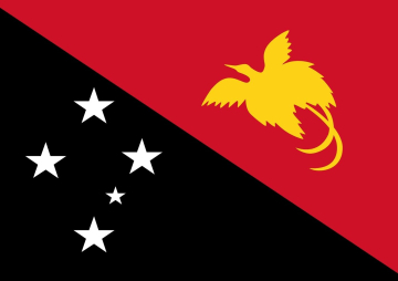 Custodia di Papua nuova Guinea- Elezioni